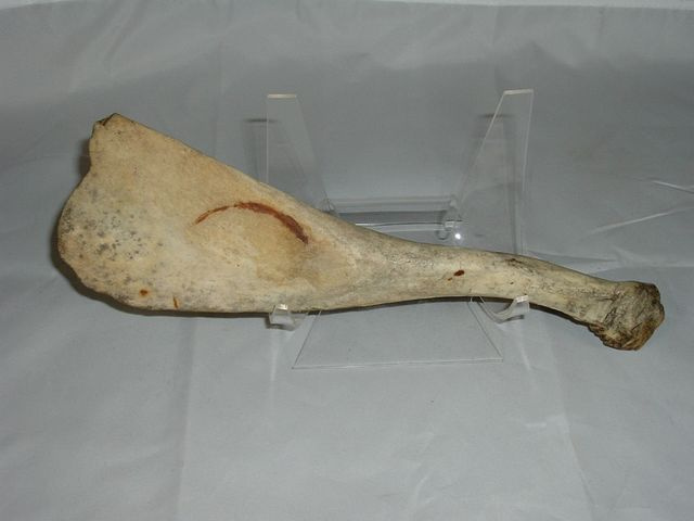 INDIAN BONE HIDE SCRAPER