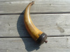 EARLY AMERICAN SCRIMSHAW POWDER HORN